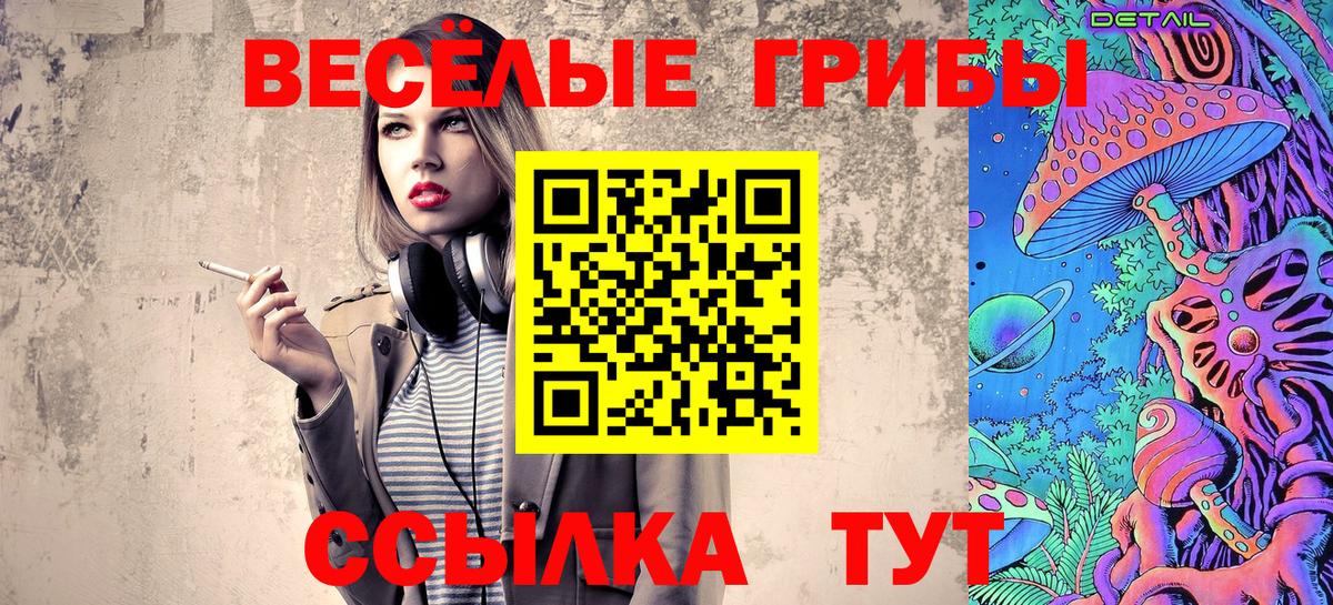 Находка  Галлюциногенные грибы Psilocybe  Вход с VPN 