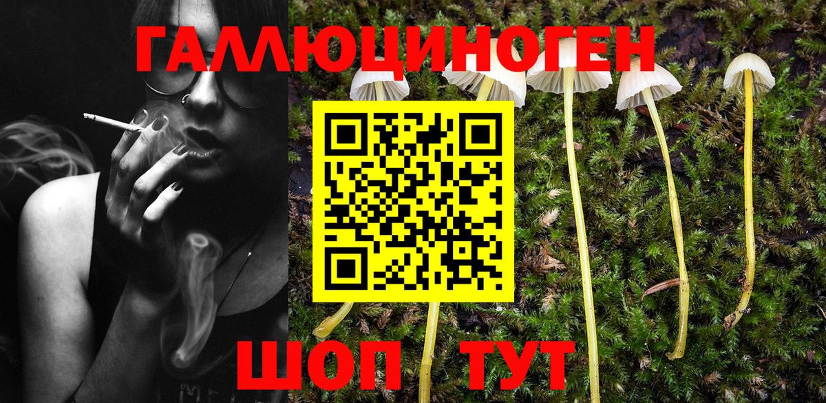 Галлюциногенные грибы Magic Shrooms Находка